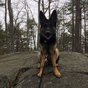 Meet your Posher, Thomas m